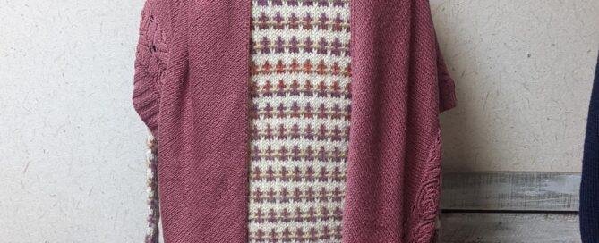 Carina, Perennial, Gazzoner Svg+xml,%3Csvg%20xmlns%3D%27http%3A%2F%2Fwww.w3